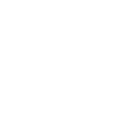 Verne Logo Mark